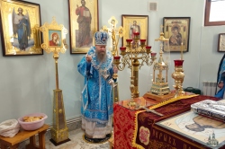 Служение Преосвященнейшего Луки в праздник в честь иконы Пресвятой Богородицы «Неупиваемая Чаша»