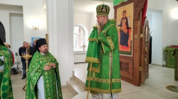 Епископ Искитимский и Черепановский Лука совершил Божественную литургию в Тогучине