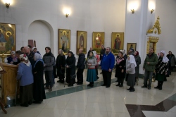 Епископ Искитимский и Черепановский Лука поставил подпись под текстом обращения за запрет абортов в России