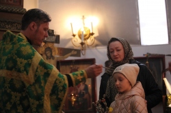 В Болотном православные верующие 8 апреля освящают вербу